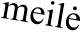 meilė